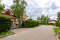 Фотография Клены 3