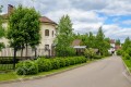 Фотография Клены 4