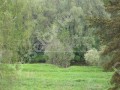 Фотография Усадьба Вельяминово 6