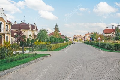 Фотография Лужки