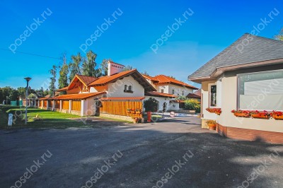 Фотография Березовый лес