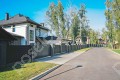 Фотография Березовый лес 3
