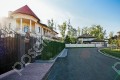 Фотография Березовый лес 8