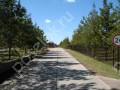 Фотография Борки-4 2