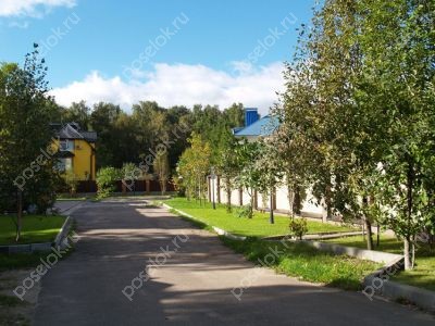 Фотография Лесной