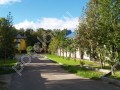 Фотография Лесной 1
