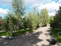 Фотография Лесной 3