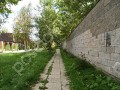 Фотография Лесной 4