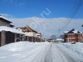 Фотография Петровский парк 4