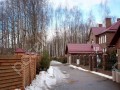 Фотография Смородинка 4