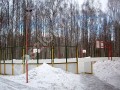 Фотография Смородинка 5