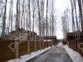 Фотография Смородинка 7