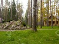 Фотография Вальдорф 4
