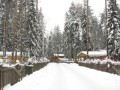 Фотография Вальдорф 9