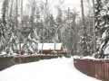 Фотография Вальдорф 10
