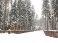 Фотография Вальдорф 11