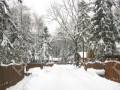 Фотография Вальдорф 12