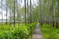 Фотография Монаково 15