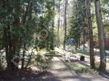 Фотография Ильинские Дачи 5