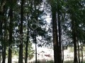Фотография Советский писатель 8