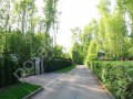 Фотография Озерный 4