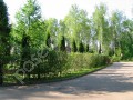 Фотография Озерный 5