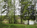 Фотография Пенаты 7