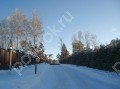 Фотография Пенаты 9