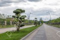 Фотография Монтевиль 6