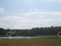 Фотография У Лесного Озера 3