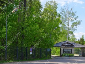 Фотография Хвойный