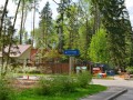 Фотография Хвойный 3