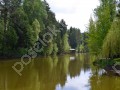Фотография Хвойный 7