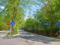 Фотография Хвойный 10