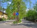 Фотография Хвойный 11