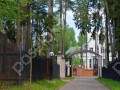 Фотография Хвойный 12