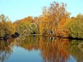 Фотография Прокшино ТСЖ 5