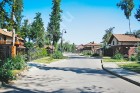 Фотография Антоновка