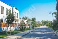 Фотография Антоновка 7