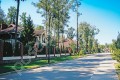 Фотография Антоновка 8