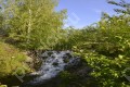 Фотография Спас-Каменка 14