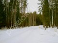 Фотография Вымпел 4