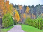 Фотография Успенские усадьбы