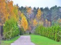 Фотография Успенские усадьбы 9