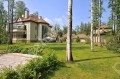 Фотография Зеленая роща 1 1