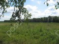 Фотография Клубничные поля 2