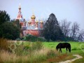 Фотография Клубничные поля 8