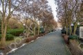 Фотография ParkVille Жуковка 11