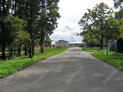 Фотография Чистые пруды (Крекшино)