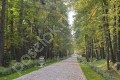 Фотография Снегири ДО УПДП 7
